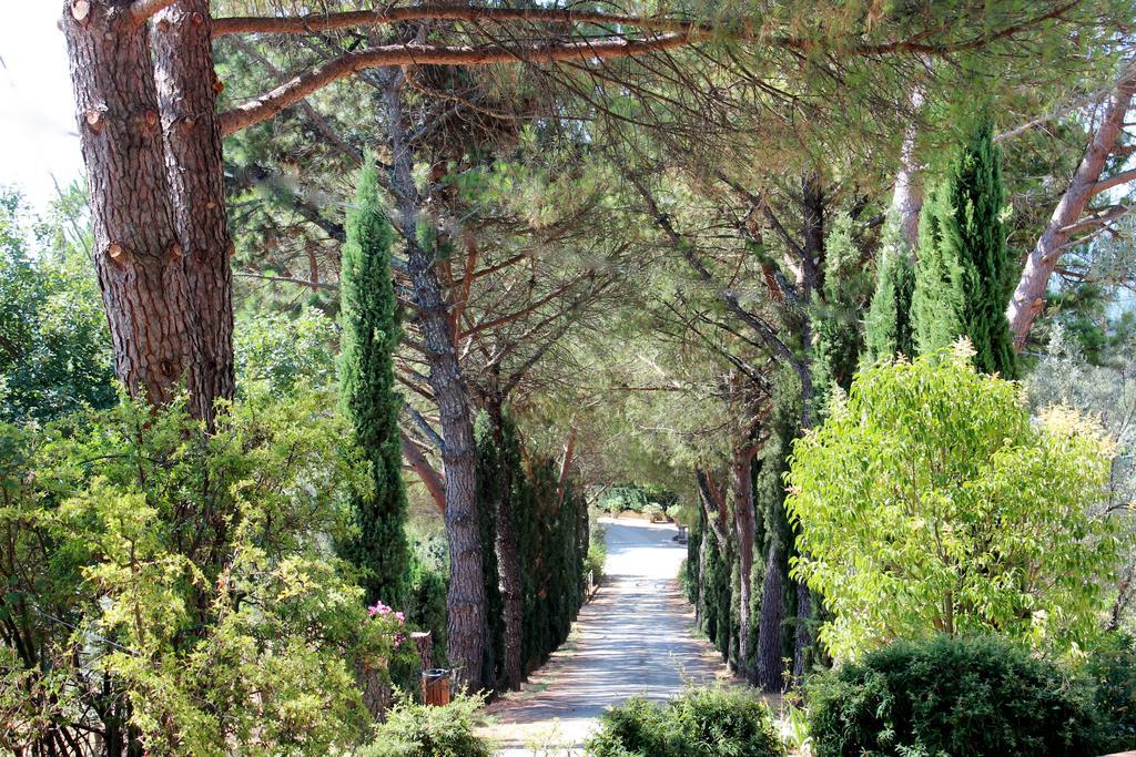 Agriturismo Antico Borgo Poggitazzi Villa Loro Ciuffenna Bagian luar foto