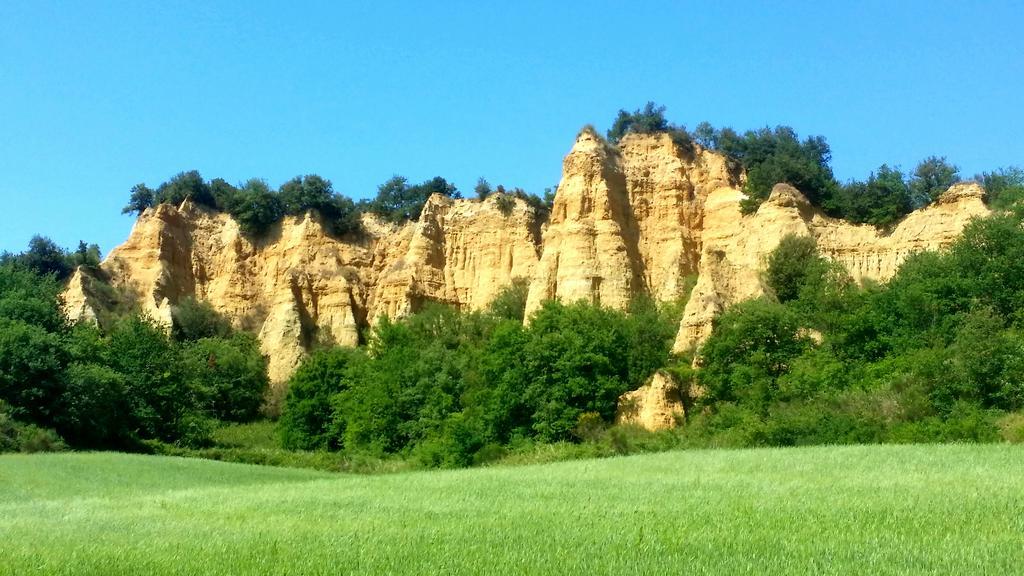 Agriturismo Antico Borgo Poggitazzi Villa Loro Ciuffenna Bagian luar foto